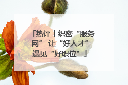 热评丨织密“服务网” 让“好人才”遇见“好职位”